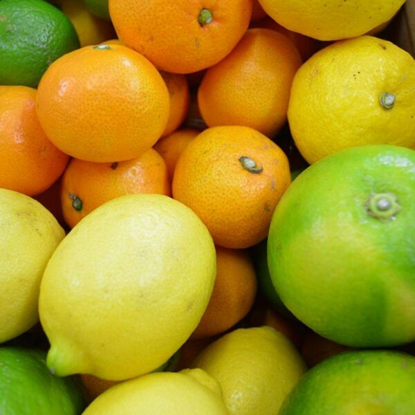 柑橘豆知識、公開中です！