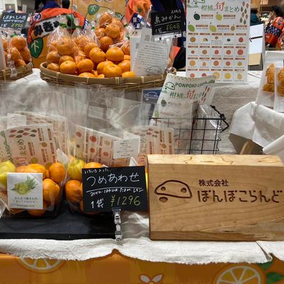 イオン新潟南にて、柑橘販売します！1月19日～23日まで。