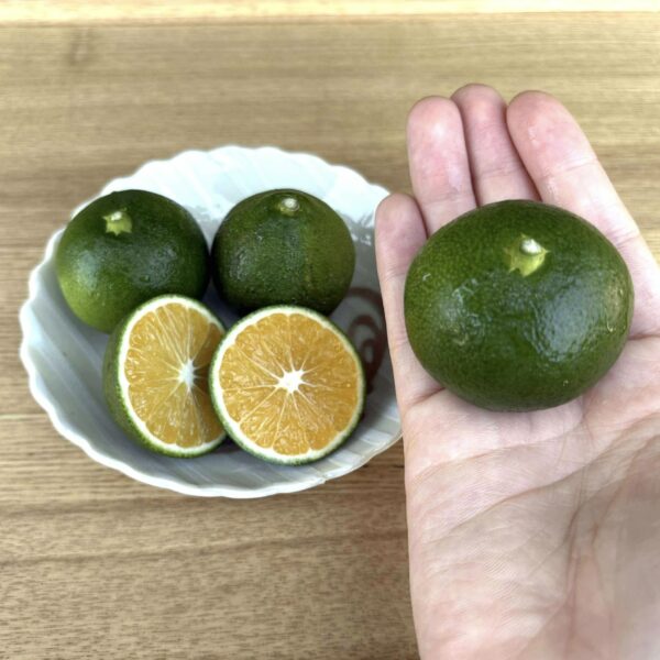 すっきり香る！蒼みかん、発売中です！