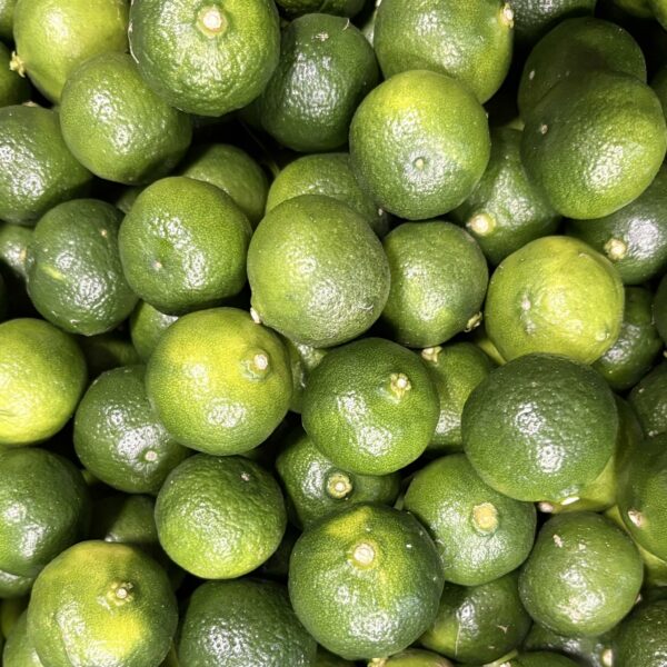 柑橘が常温便での配送となります。