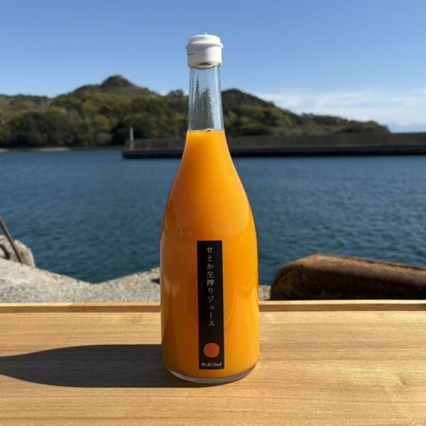 せとかジュース、新発売です！