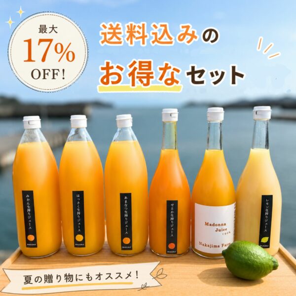 送料込みのお得な柑橘ジュースセット🍹