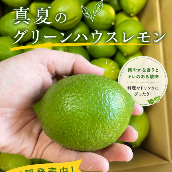 「真夏のグリーンハウスレモン」好評発売中です！
